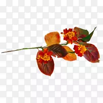 �＾������Ӱ-���ջ���-������