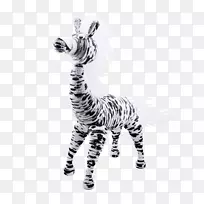 白色野生动物-空若网 白色野生动物-空若网