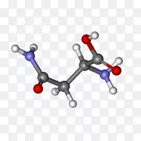 天冬酰胺氨基酸天冬氨酸密码子-空若网 天冬酰胺氨基酸天冬氨酸密码子-空若网