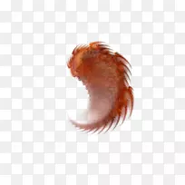 鸟天使翅膀红羽毛-空若网 鸟天使翅膀红羽毛-空若网