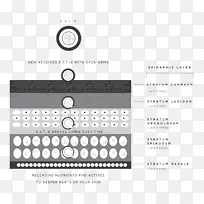 ������ѧ��ױƷֲ���ϸ����ѧ-������