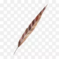 水彩画水彩羽毛-空若网 水彩画水彩羽毛-空若网