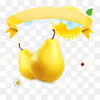 梨土坯插图-现实梨-空若网 梨土坯插图-现实梨-空若网