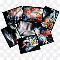 摄影纸摄影-空若网 摄影纸摄影-空若网