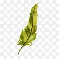 ˮ�ʻ���ë������ˮ�ʻ���ë-������