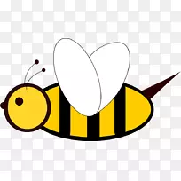 �����ά�����ͼ��ѧ�������������-������