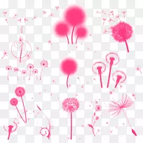 蒲公英植物-漂浮蒲公英-空若网 蒲公英植物-漂浮蒲公英-空若网