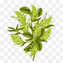 ������Ʋ����ռǻ�-������