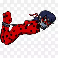 狗瓢虫昆虫瓢虫-空若网 狗瓢虫昆虫瓢虫-空若网