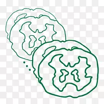 因素分析-大规模神经网络协会-神经系统-空若网 因素分析-大规模神经网络协会-神经系统-空若网