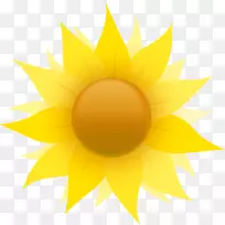 黄色圆形对称花瓣墙纸无向日葵-空若网 黄色圆形对称花瓣墙纸无向日葵-空若网