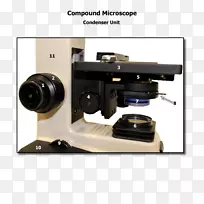 显微镜显微镜-空若网 显微镜显微镜-空若网