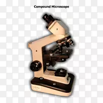 显微镜显微镜-空若网 显微镜显微镜-空若网