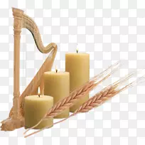 ���ٶ���������������-������