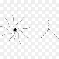 ��������ֲ�ﾥ�׻���״-������