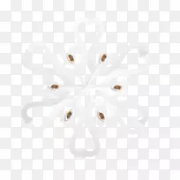 白雪公主-空若网 白雪公主-空若网