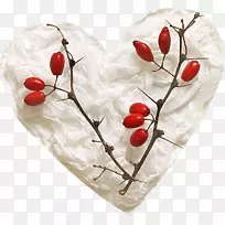 心脏博客-创意-空若网 心脏博客-创意-空若网