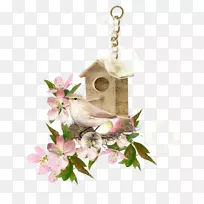 �񳲼�����-��-������