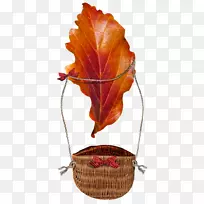 Ҷ����Ҷ����-Ҷ-������