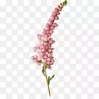 插花艺术-空若网 插花艺术-空若网