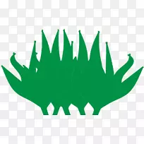 绿叶草-空若网 绿叶草-空若网