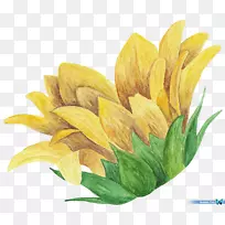 ˮ�ʻ�������-������