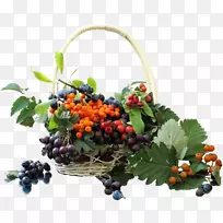 动画摄影.动画-空若网 动画摄影.动画-空若网