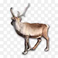 ѱ¹��¹�Ƕ���Ұ������¹-������