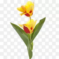 �������ɫ�л����������-������