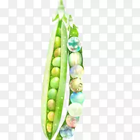 �㶹�滭����-�㶹����滭��������-������