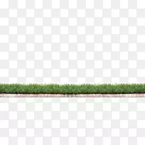 农作物草坪草科-空若网 农作物草坪草科-空若网