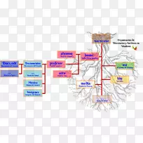 Ŀ¼�ļ�ϵͳ��֯-��-������