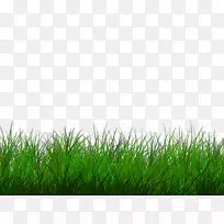 ͼƬ������ͼƬ�༭�����ֽ-������