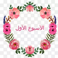 ����ˮ�ʻ�������Ƽ�����ˮ�ʻ�����-������