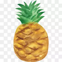 菠萝水彩画水果手绘菠萝-空若网 菠萝水彩画水果手绘菠萝-空若网