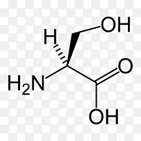 膳食补充剂谷氨酰胺产生蛋白质的氨基酸健康-空若网 膳食补充剂谷氨酰胺产生蛋白质的氨基酸健康-空若网