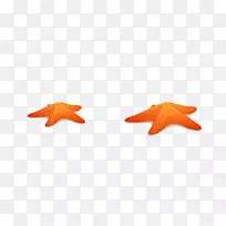 海星-海星-空若网 海星-海星-空若网