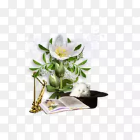 �������-������