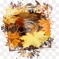 Facebook博客Google+.by web横幅-Facebook-空若网 Facebook博客Google+.by web横幅-Facebook-空若网