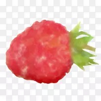 ��ݮ�����Ӳ��ܺ첤��-������