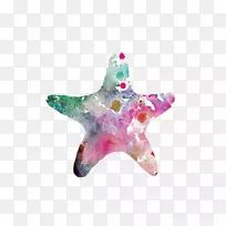 º£ÐÇË®²Ê»-º£ÐÇ-¿ÕÈôÍø º£ÐÇË®²Ê»-º£ÐÇ-¿ÕÈôÍø