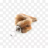 狗尾巴,毛皮,鼻子,犬科-空若网 狗尾巴,毛皮,鼻子,犬科-空若网