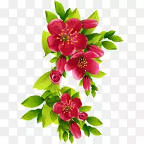 百合花剪贴画-花-空若网 百合花剪贴画-花-空若网