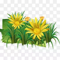 野菊花剪贴画-黄色野菊花-空若网 野菊花剪贴画-黄色野菊花-空若网