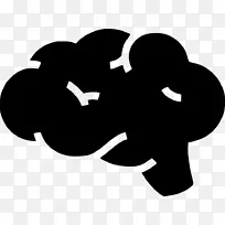 海龟神经系统剪贴画-海龟-空若网 海龟神经系统剪贴画-海龟-空若网