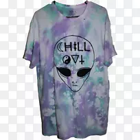 t����װ���ﶥ��Ⱦ��-������