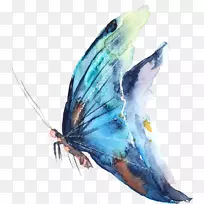 ºûµûË®²Ê»ÉãÓ°-ºûµû-¿ÕÈôÍø ºûµûË®²Ê»ÉãÓ°-ºûµû-¿ÕÈôÍø