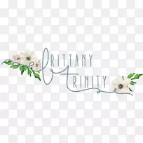 �������Ʒ���������-������