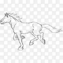 马驹动画画片艺术-马-空若网 马驹动画画片艺术-马-空若网