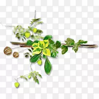 ���ͼ�����-������